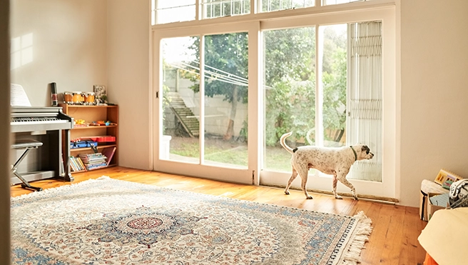 Home with sliding doors and dog inside.
