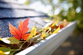 Leaves in roof gutter.