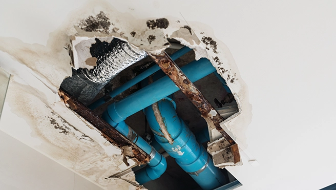 A picture of a damaged ceiling with piping exposed.