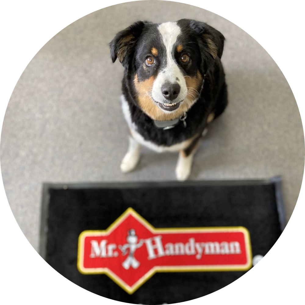 How can Mr. Handyman serve you?