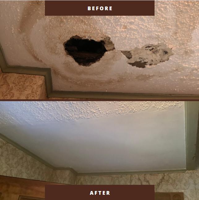 Plaster Repair