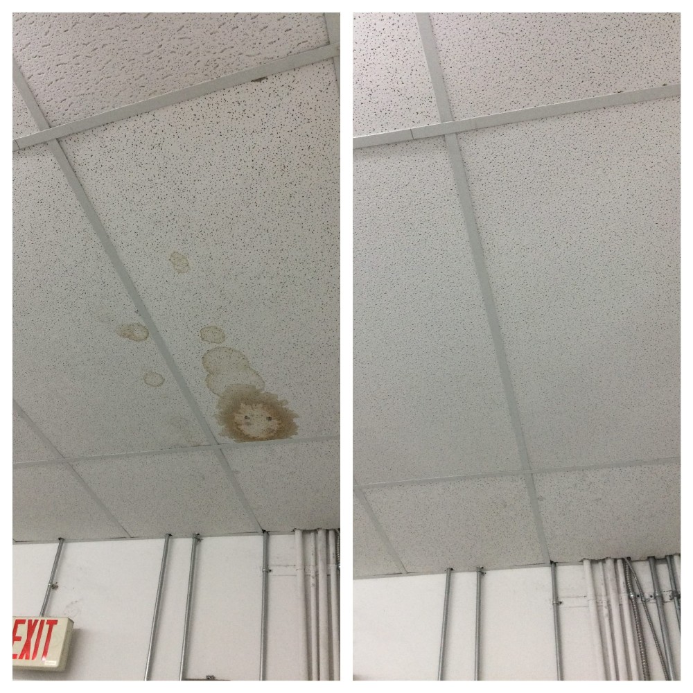 Commercial Ceiling Tile Replacement in Sanford