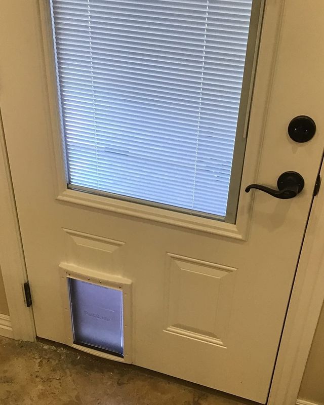 Door with dog door installation.