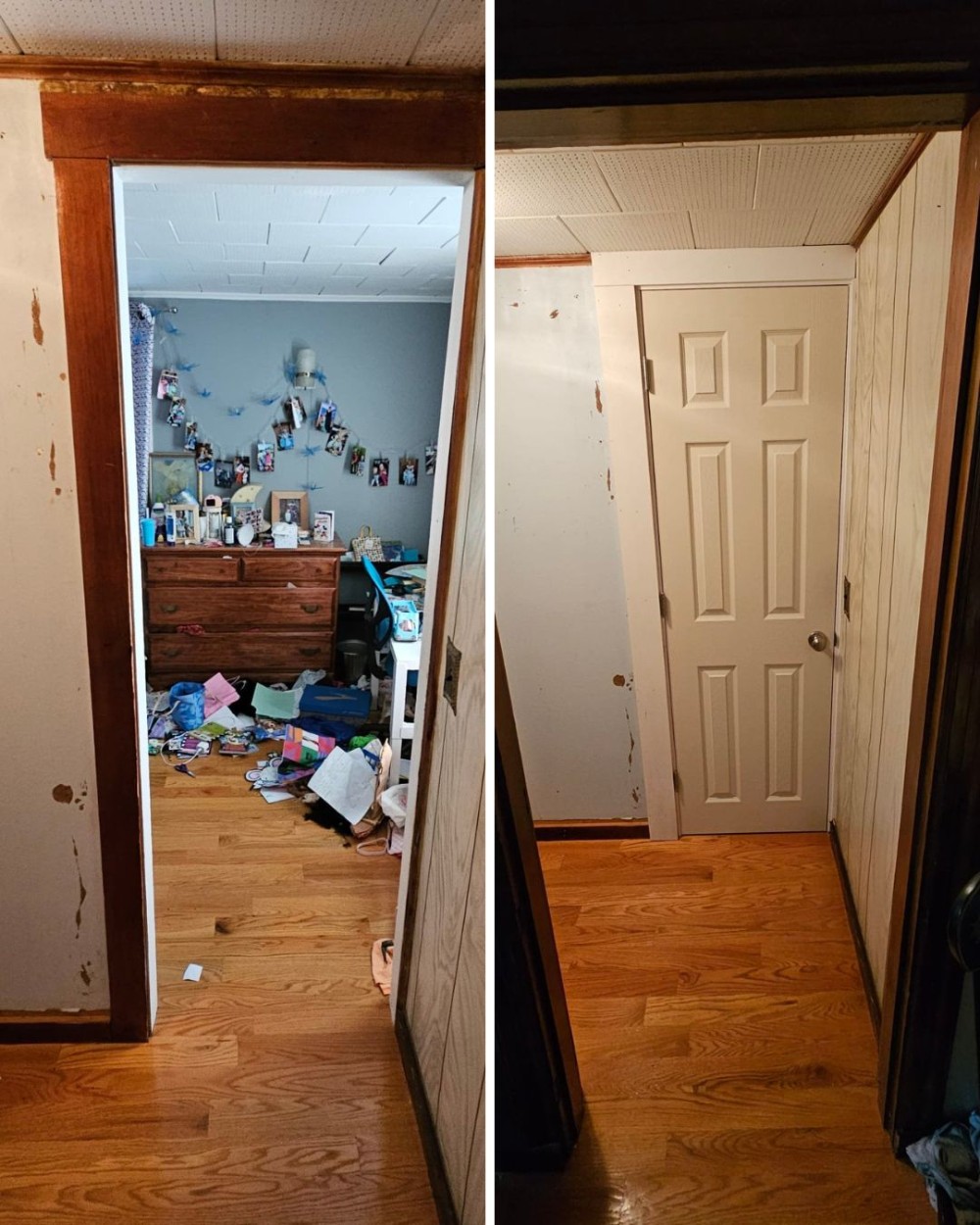 Door