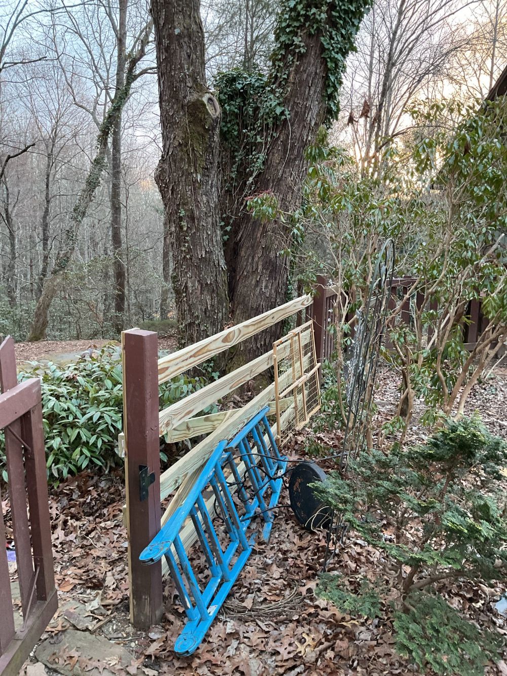 Fence - In Progress