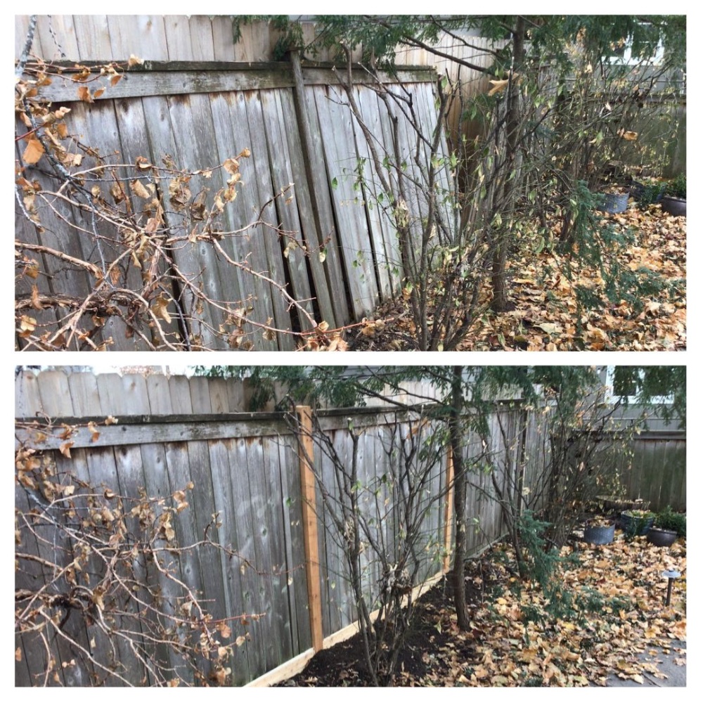 Fence Repair