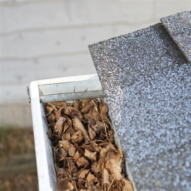 Gutter Cleaning