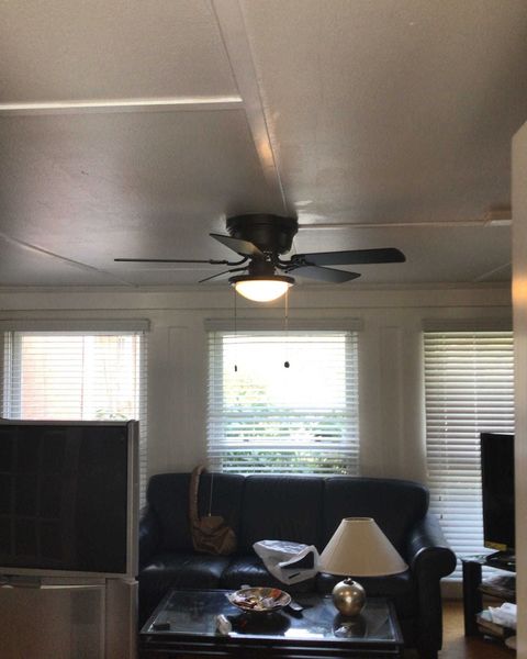 Ceiling fans