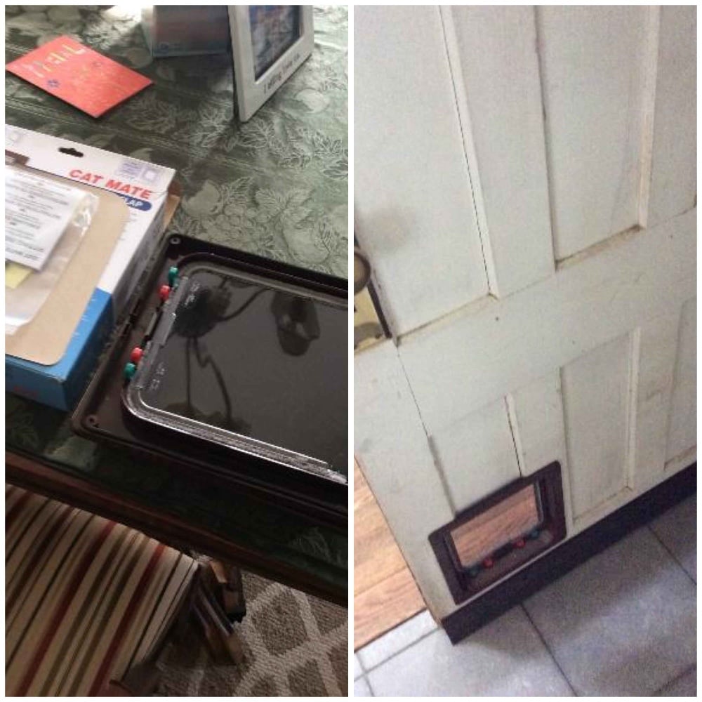 Install pet door in Norwalk