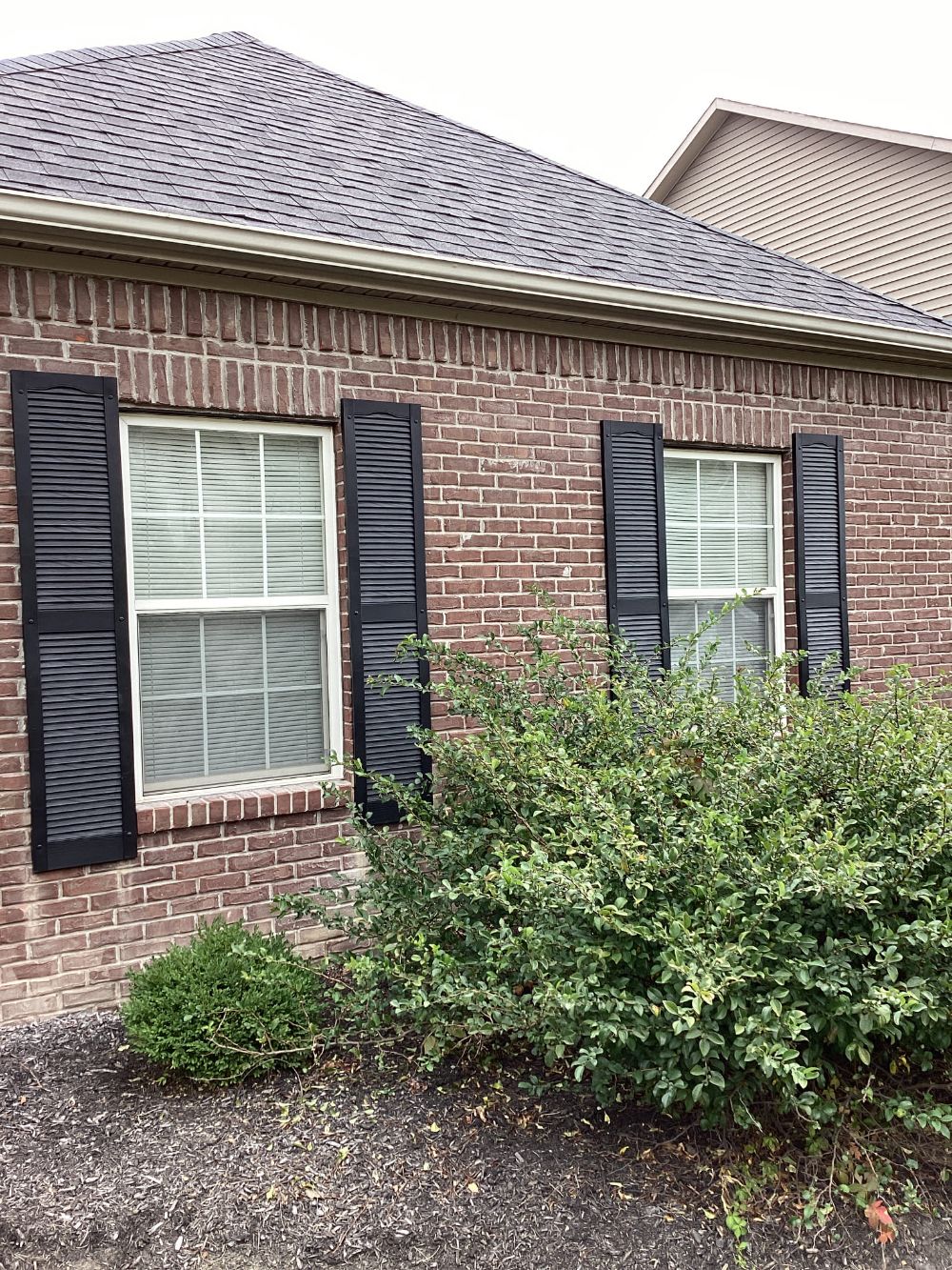 New Shutters