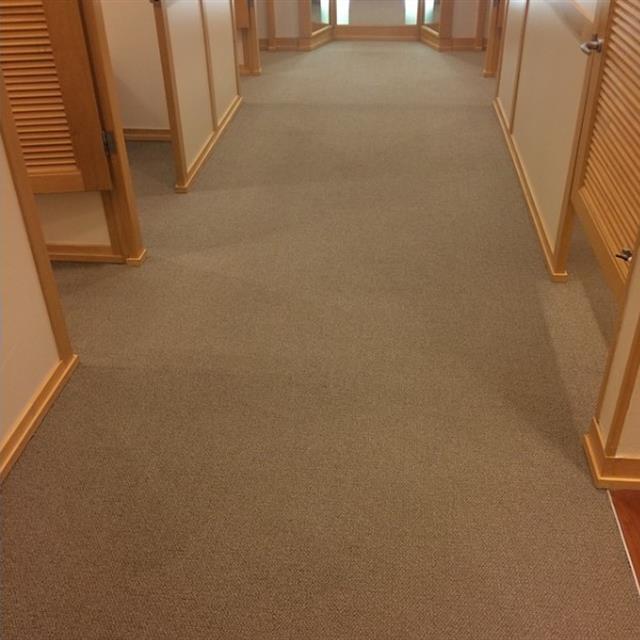 New carpet at Ann Taylor Loft.
