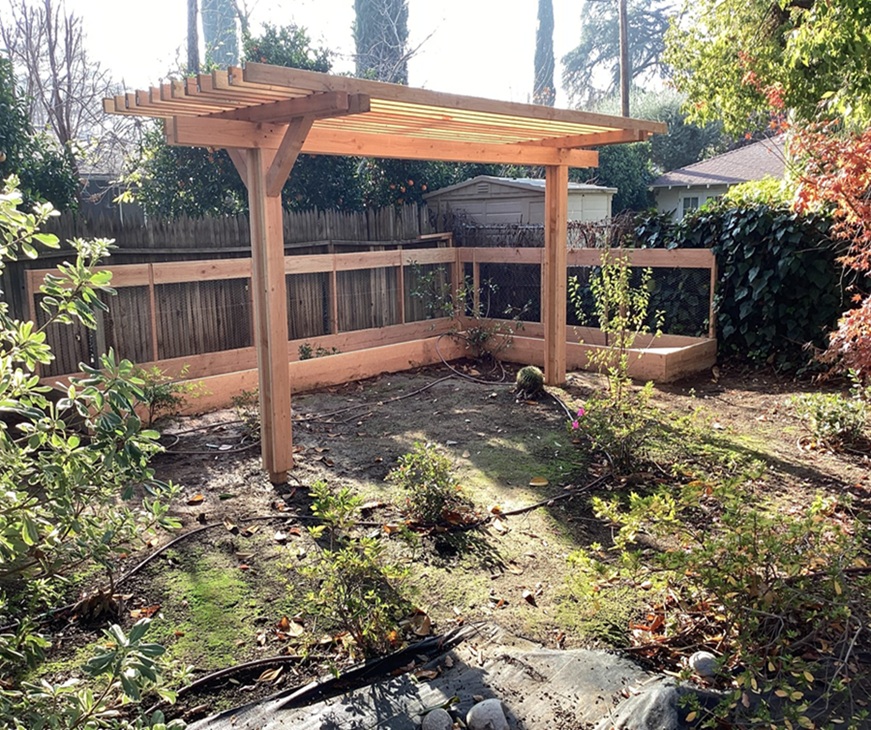 PErgola & Garden Bed