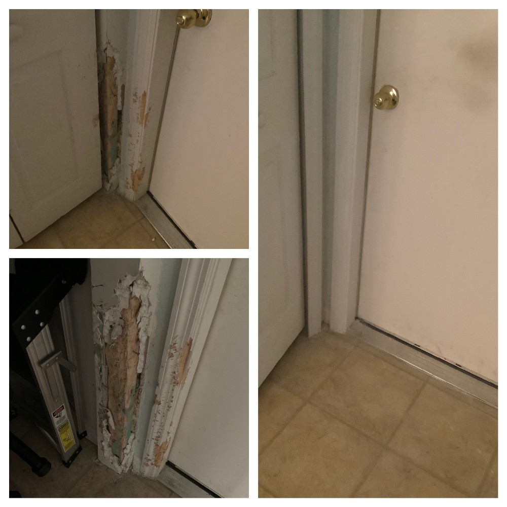 Pet damage repairs in Longwood