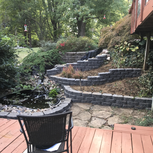 Renovating the backyard into a beautiful scenery