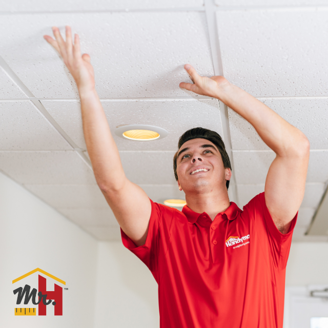 Replace Ceiling Tiles