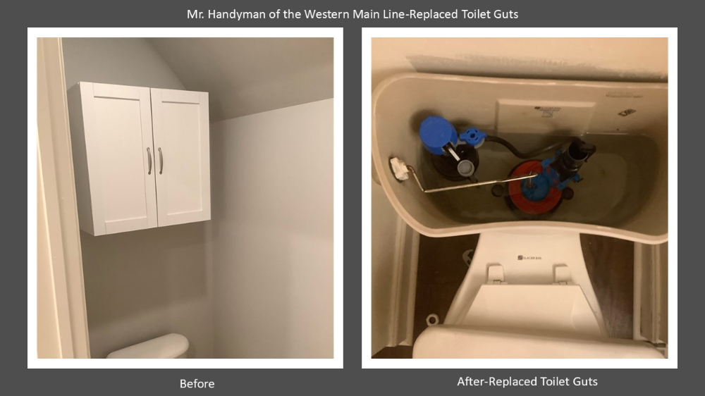 Replace Toilet Guts Berwyn, Pa Chester County