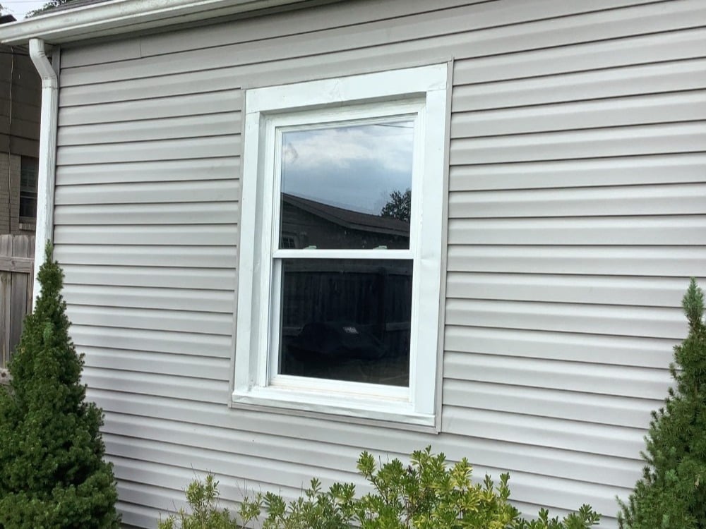 Window
