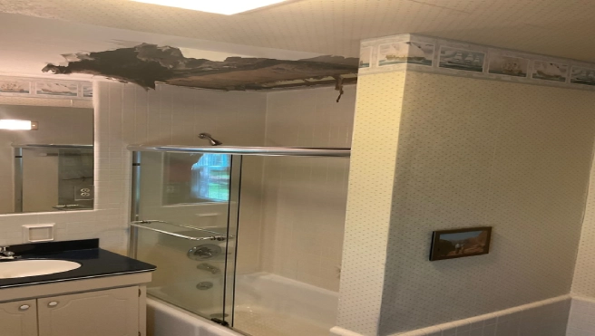 Mr Handyman drywall repair celling.