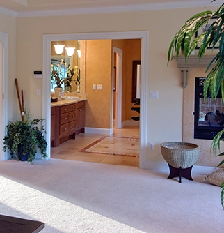 Bright, inviting interior featuring a cozy living room with plush carpet, leading to a stylish bathroom through an archway.