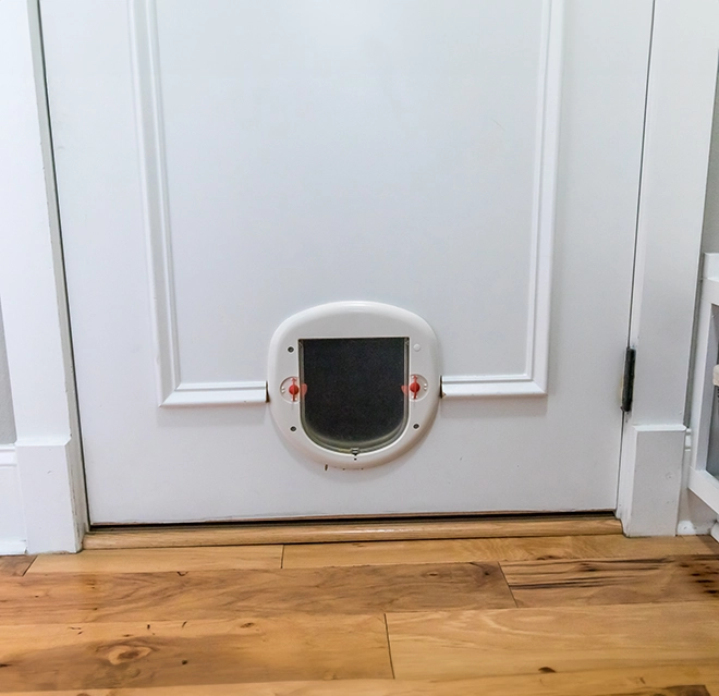 A white door with a small, round pet door at the bottom.