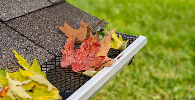 Clogged raingutter with leaf guard.