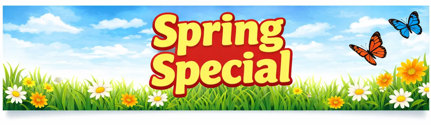 Graphic with the text Spring Special over a field with flowers and butterflies.