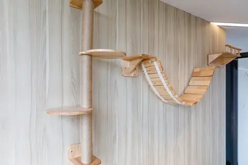 Apartment with vertical cat furniture and pet-safe design solutions