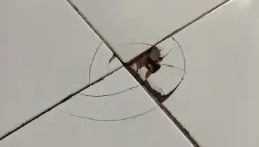 Close-up of cracked white tile.