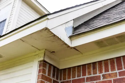 Water damage on house siding
