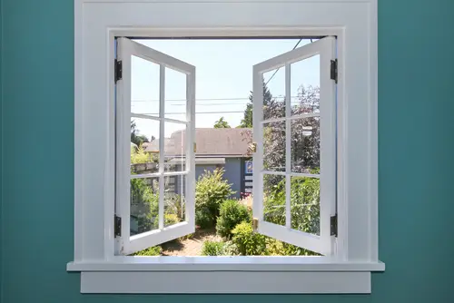 Window with trim in a blue wall, opening onto a backyard
