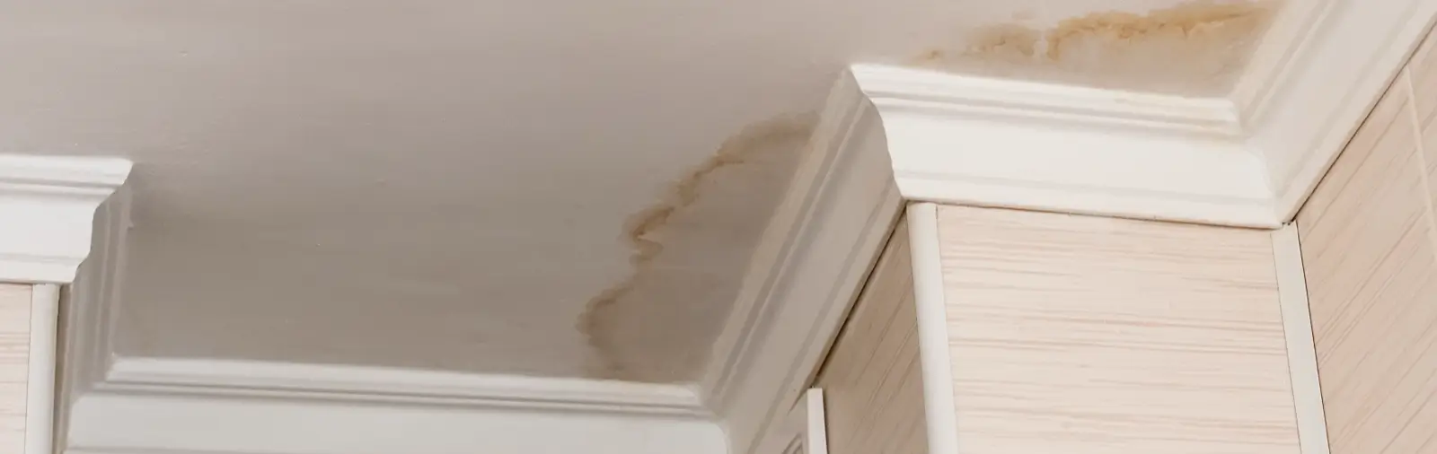 Water damage on a white ceiling.