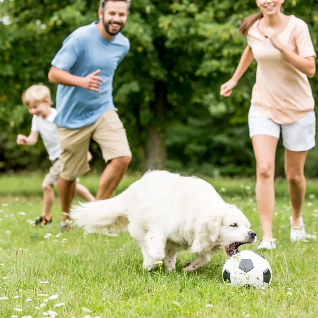 Family playing outdoor with pet dog.