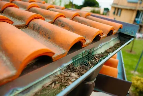 Clogged rain gutter filled with leaves and debris