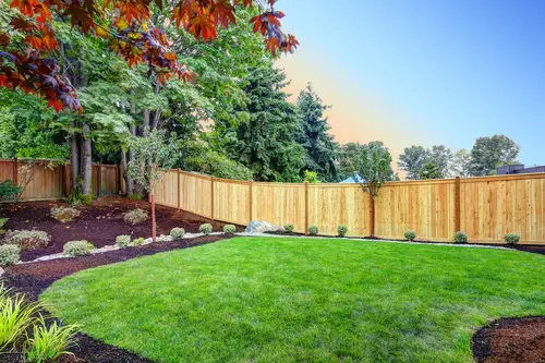 View of backyard with new wooden fence and garden and trees.