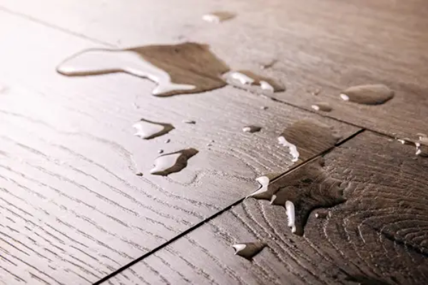 Waterproof vinyl flooring demonstrating its resistance to moisture