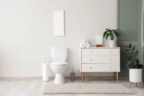 Modern bathroom with a white comfort height toilet, wood-look flooring, and vanity with plant