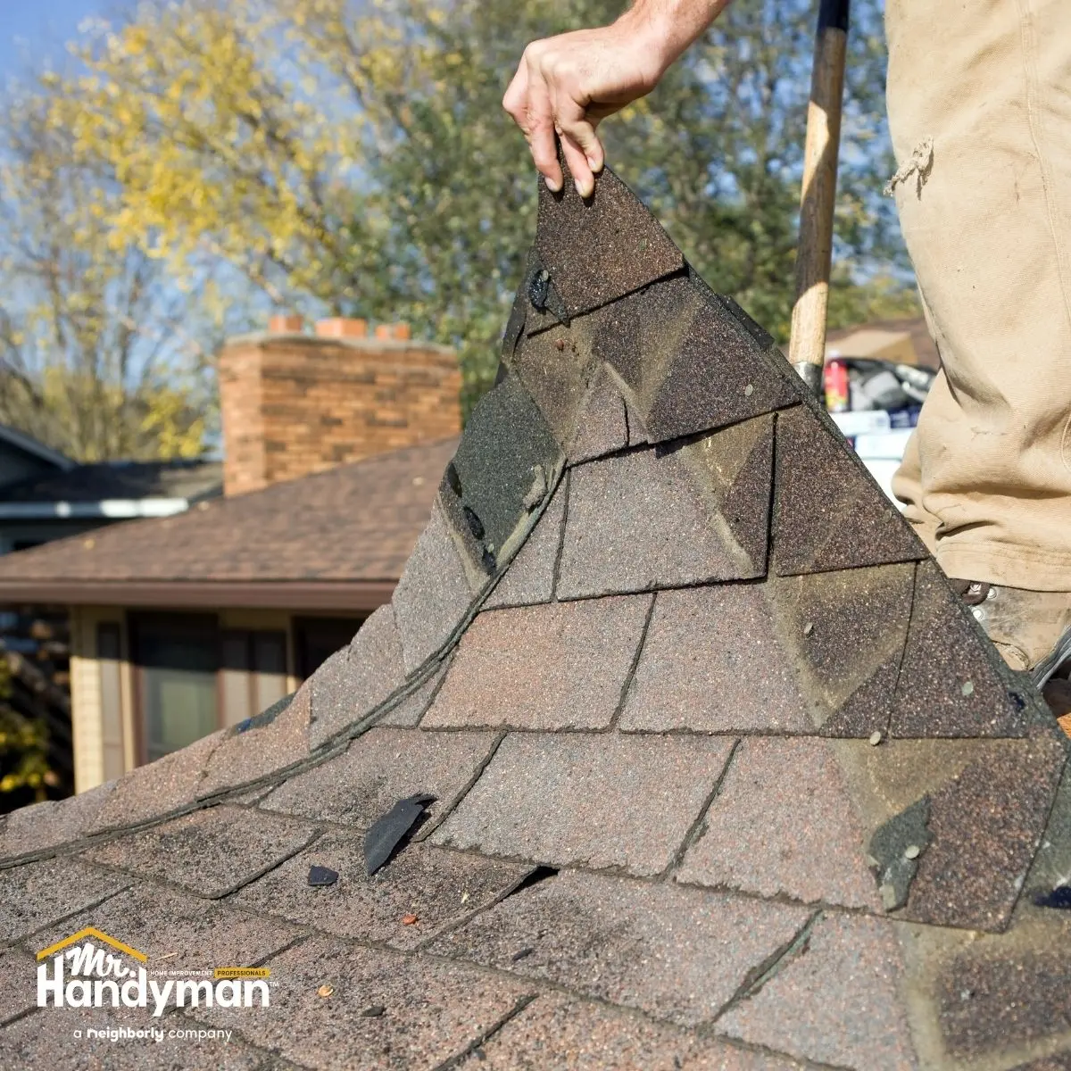 Person lifting damaged asphalt roof shingles.