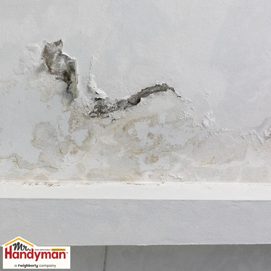 Handyman painting a commercial interior wall to refresh a business space in Cedar Hill Texas