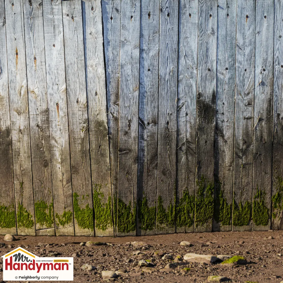Weathered wooden fence with vertical planks showing signs of age and moss growth along the base.
