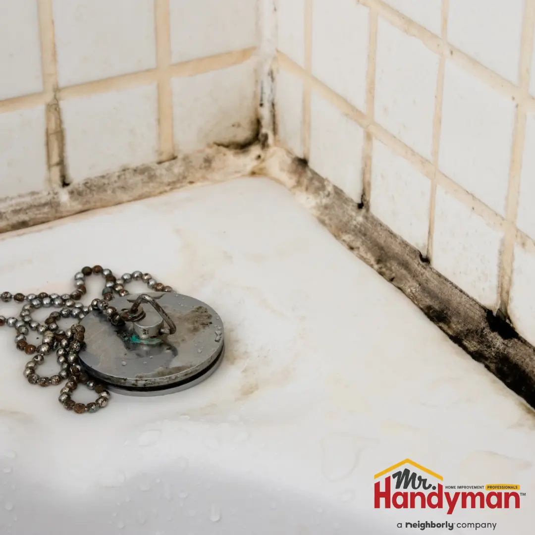 Dark mold and mildew build up along the corner caulking.
