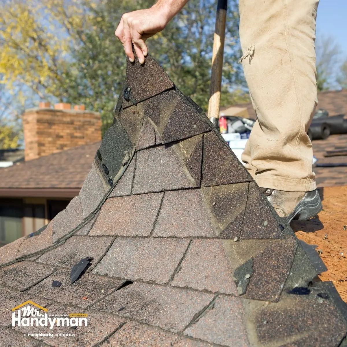 Person lifting damaged brown asphalt roof shingles from a rooftop.