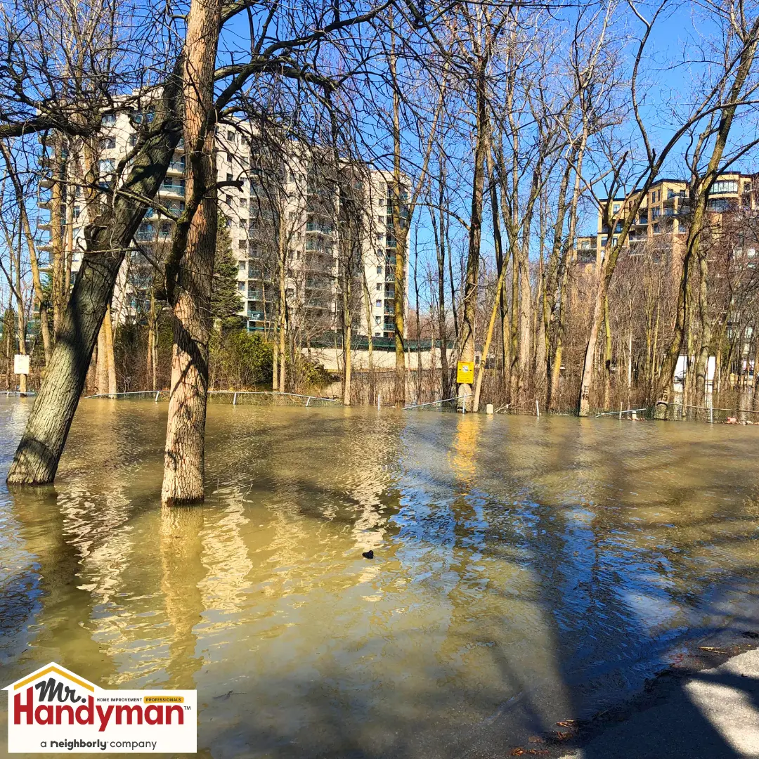 Floodwaters surround leafless trees.