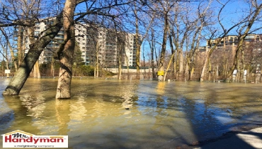 Floodwaters surround leafless trees.