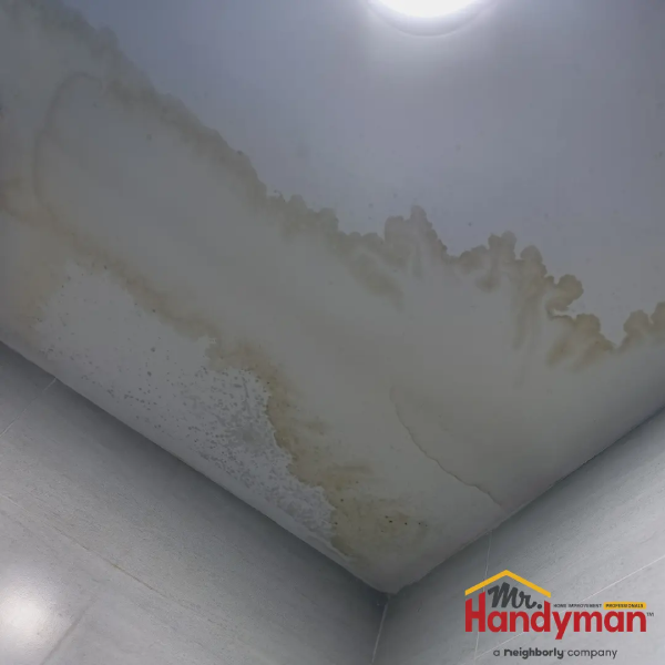 Damp roof