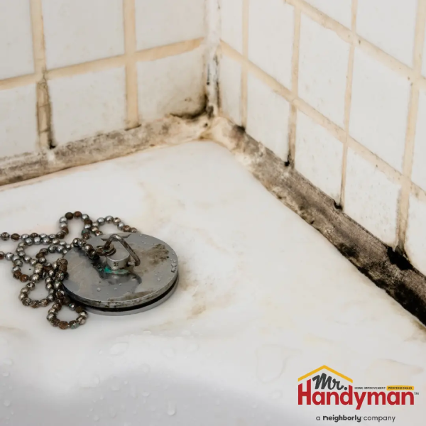 Bathtub drain plug