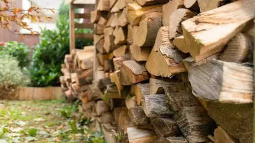 Firewood stored in a long wood rack in an outdoor autumn setting