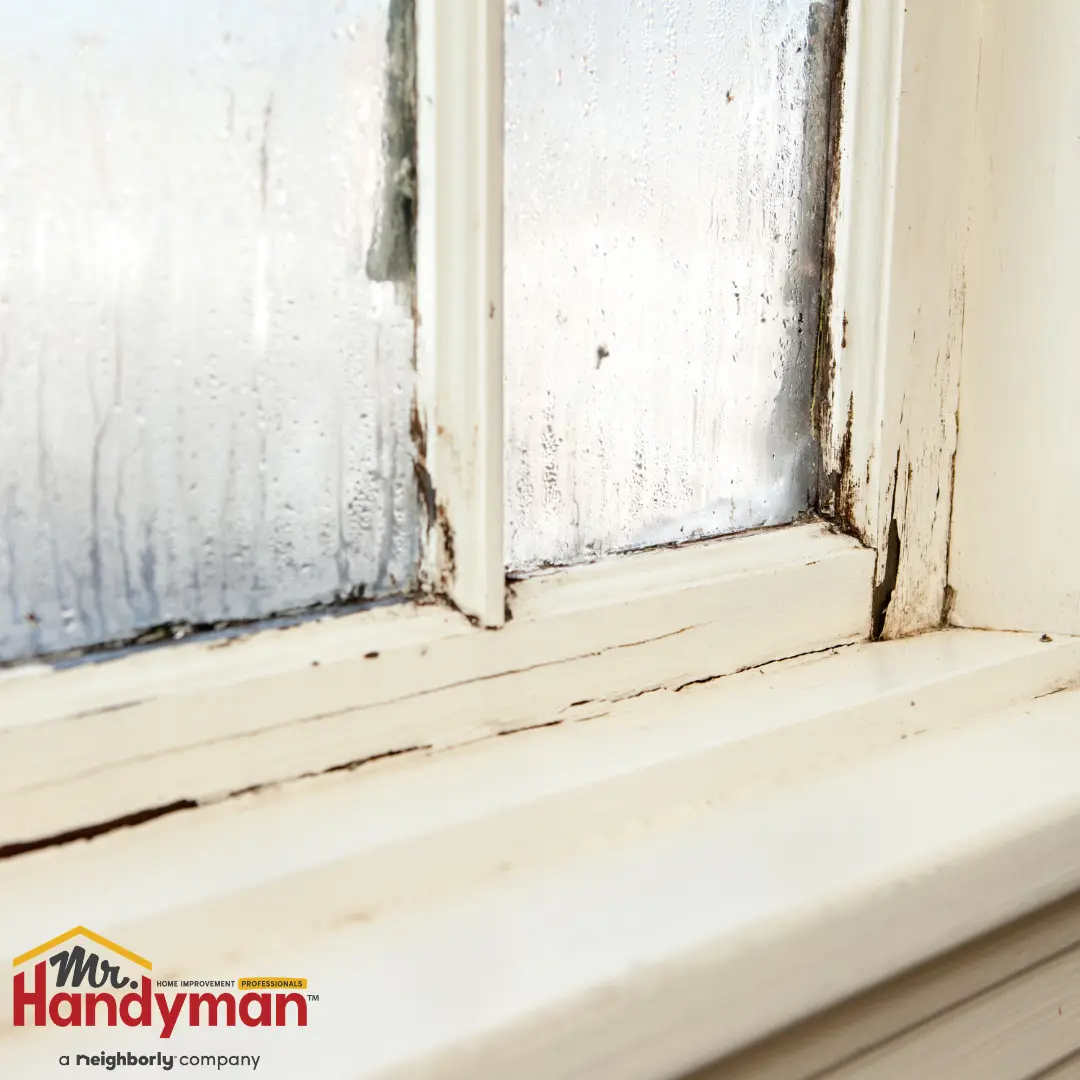 Handyman installing a replacement window in a Mishawaka, IN home
