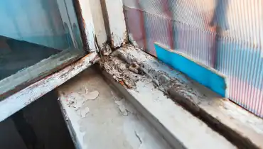 A close-up of a window with a rotted wood frame that must be fixed with professional wood rot repair services.