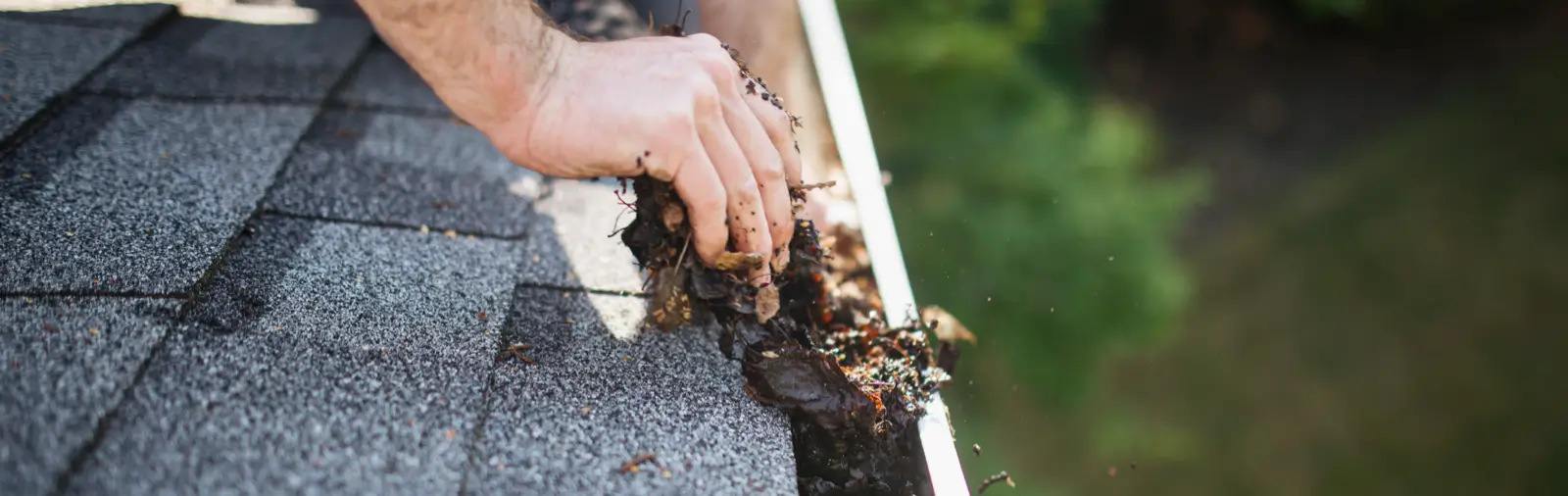 Close-up of hands scooping wet leaves from a gutter
