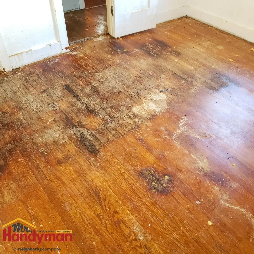 Best Flooring Options for Homes 2